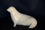 Phoque de Coxyde - Animaux