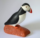 Macareux moine - Animaux