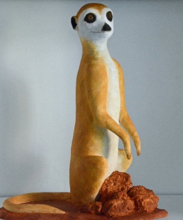 Suricate - Animaux