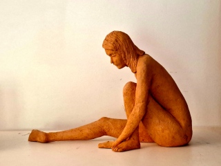 Modèle - Nus
