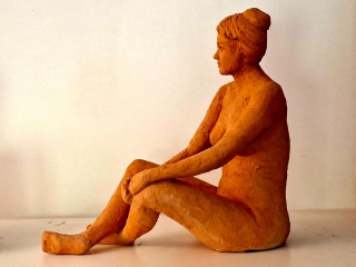 Modèle - Nus